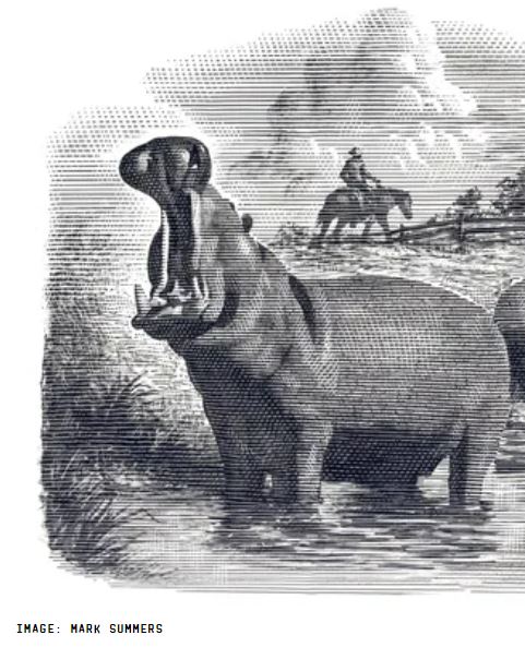 Picture of cowboy overlooking a hippo